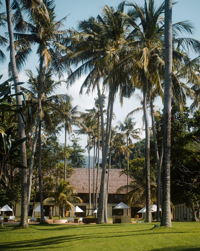 Alila Manggis