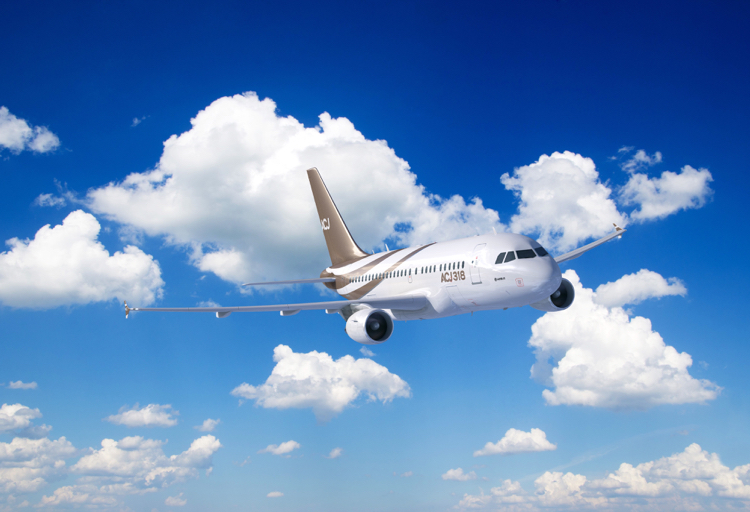 空客A318 机型图片